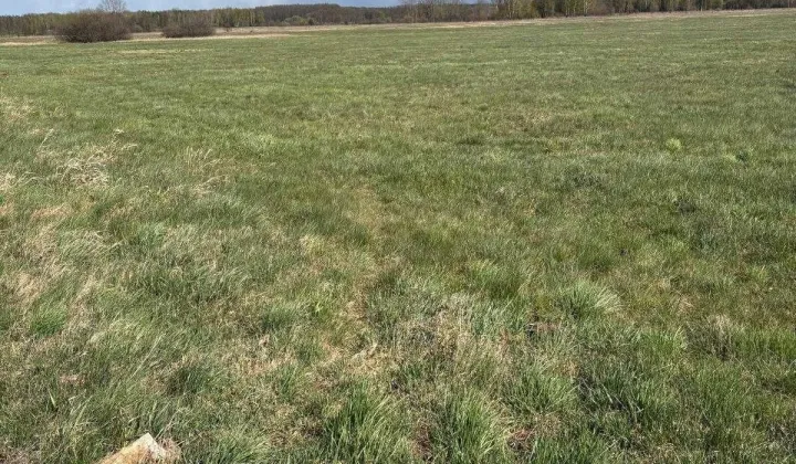 Działka rolna Doratynka