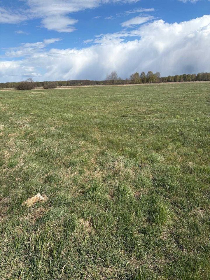 Działka rolna Doratynka. Zdjęcie 1