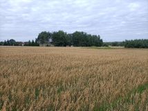 Działka rekreacyjna Miłkowice. Zdjęcie 4