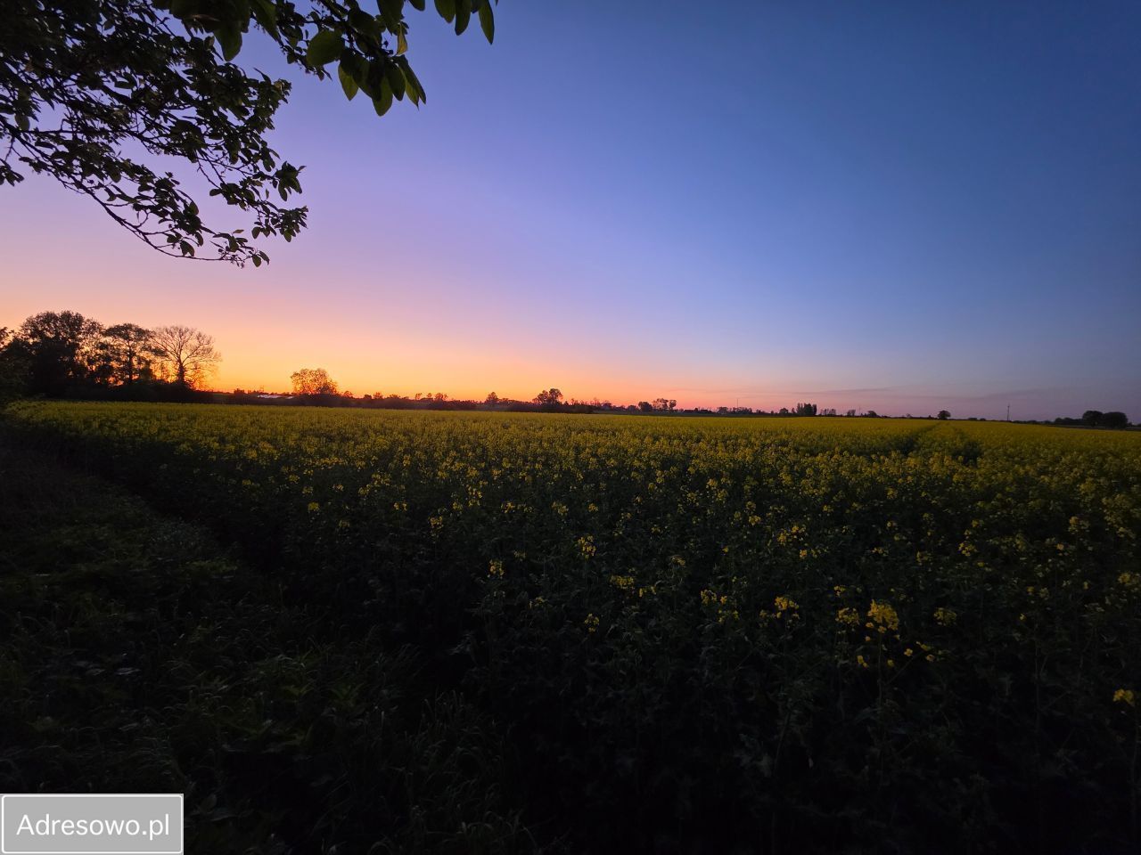 dom wolnostojący, 5 pokoi Kalinowiec. Zdjęcie 12