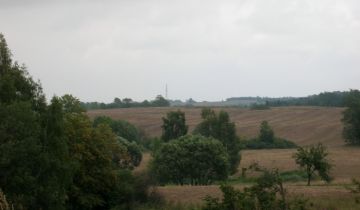 Działka siedliskowa Kikity