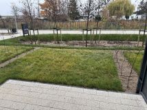 Mieszkanie 1-pokojowe Gdańsk Śródmieście, ul. Mostek. Zdjęcie 1