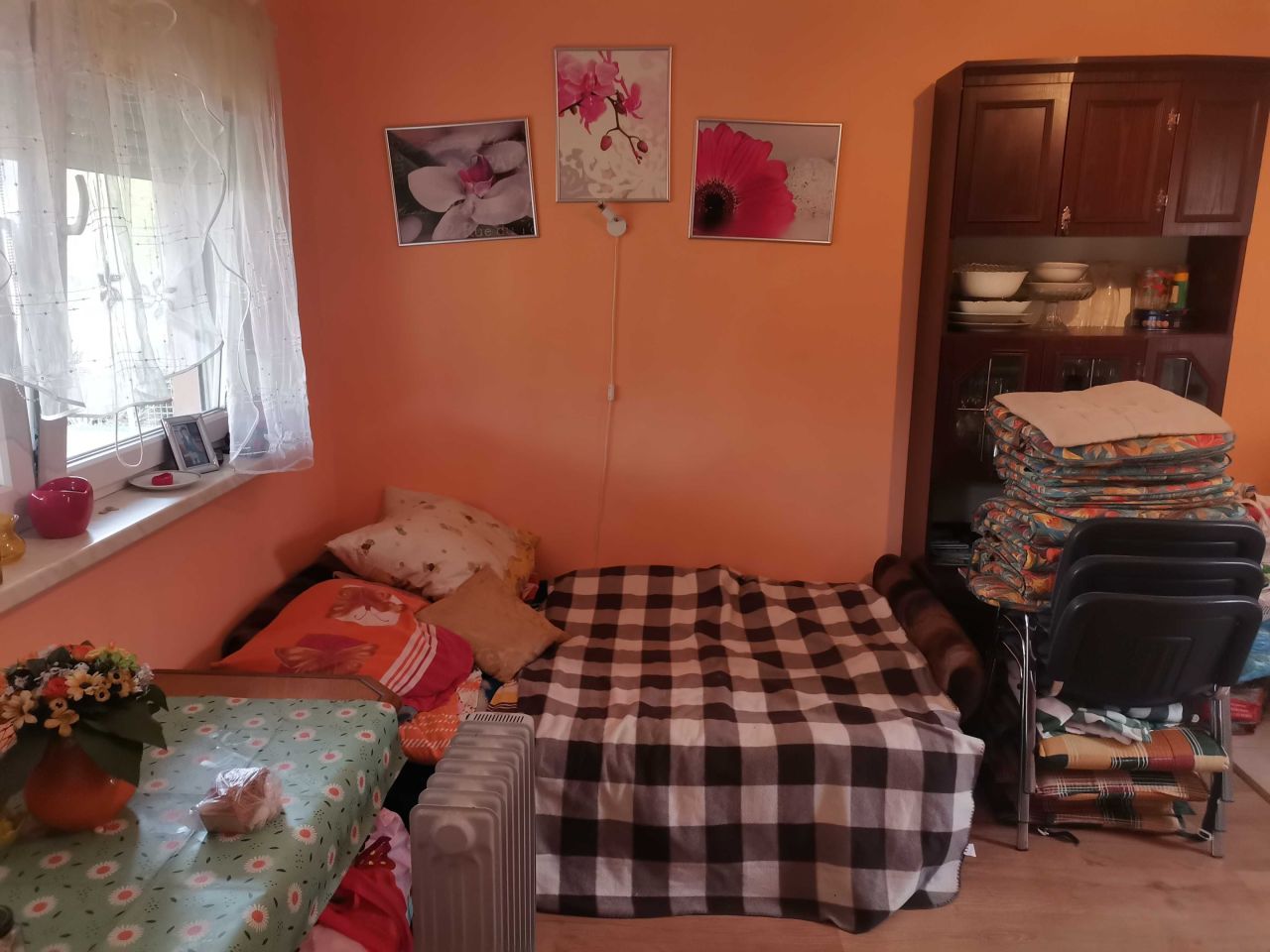 Działka rod Zielona Góra. Zdjęcie 4