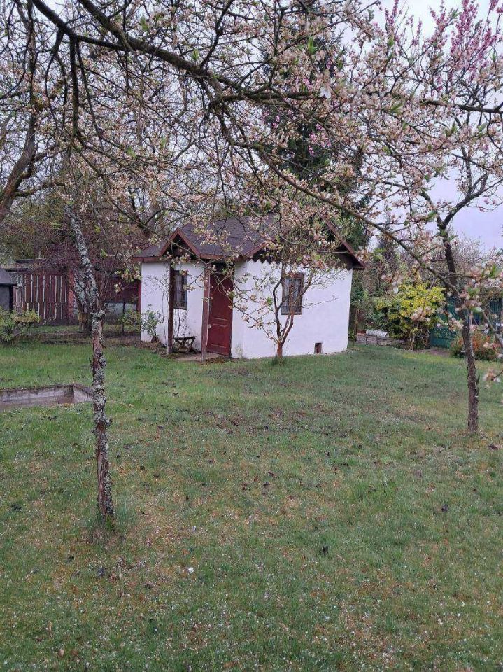 Działka rod Żagań. Zdjęcie 2