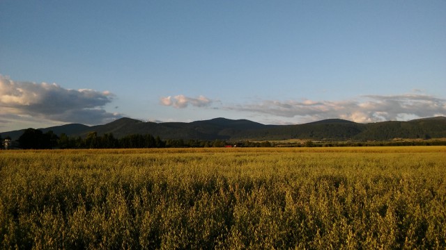 Działka rolno-budowlana Michałowice. Zdjęcie 1