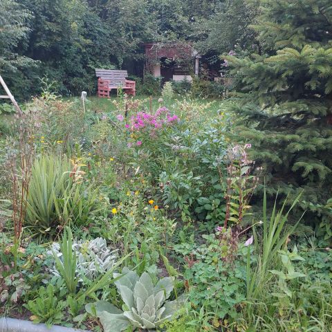 Działka rekreacyjna Kraków Bronowice Małe. Zdjęcie 1