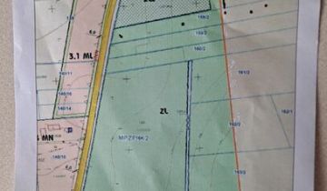 Działka leśna Głębocz Wielki