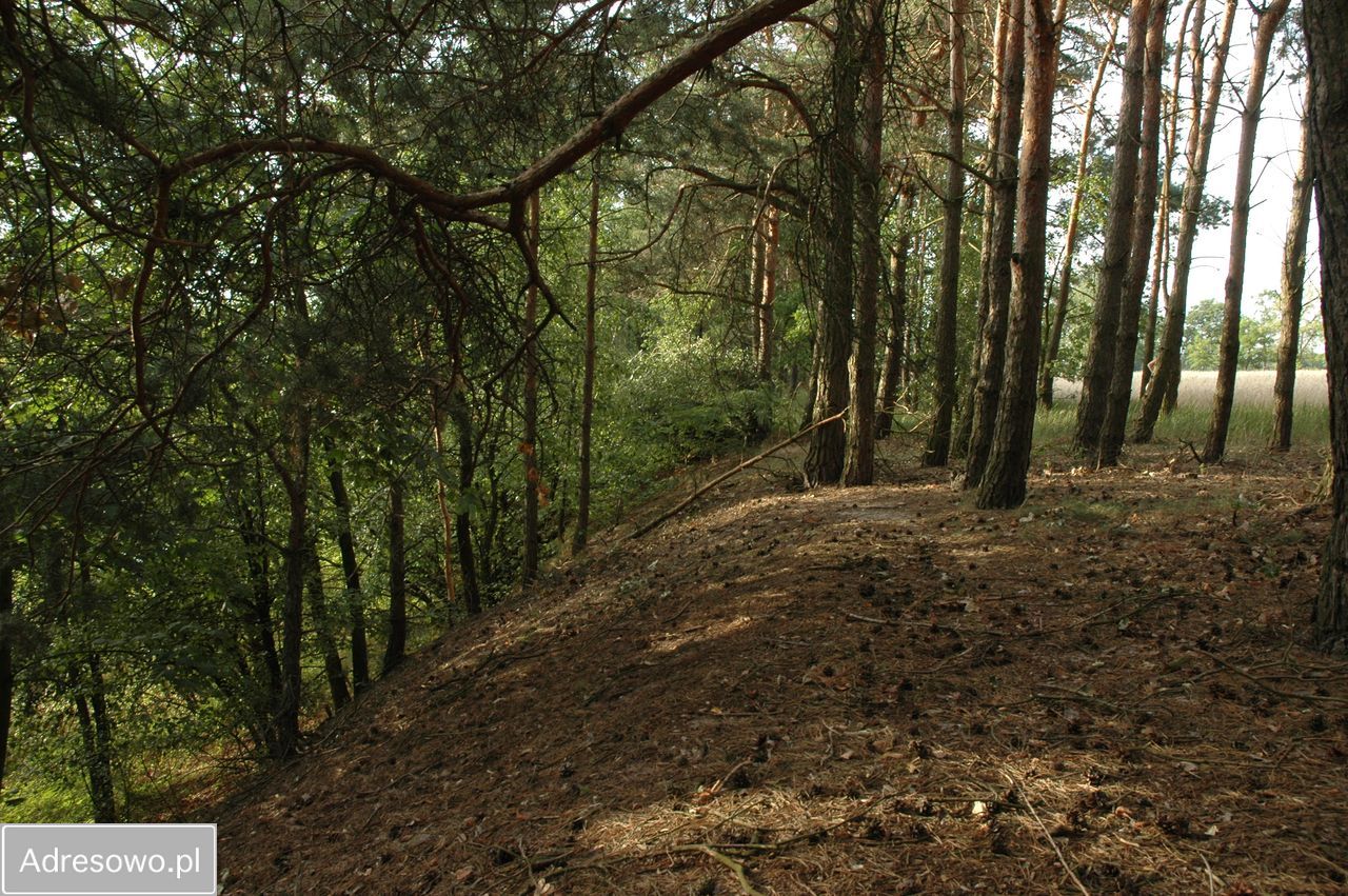 Działka Bobrownickie Pole. Zdjęcie 14