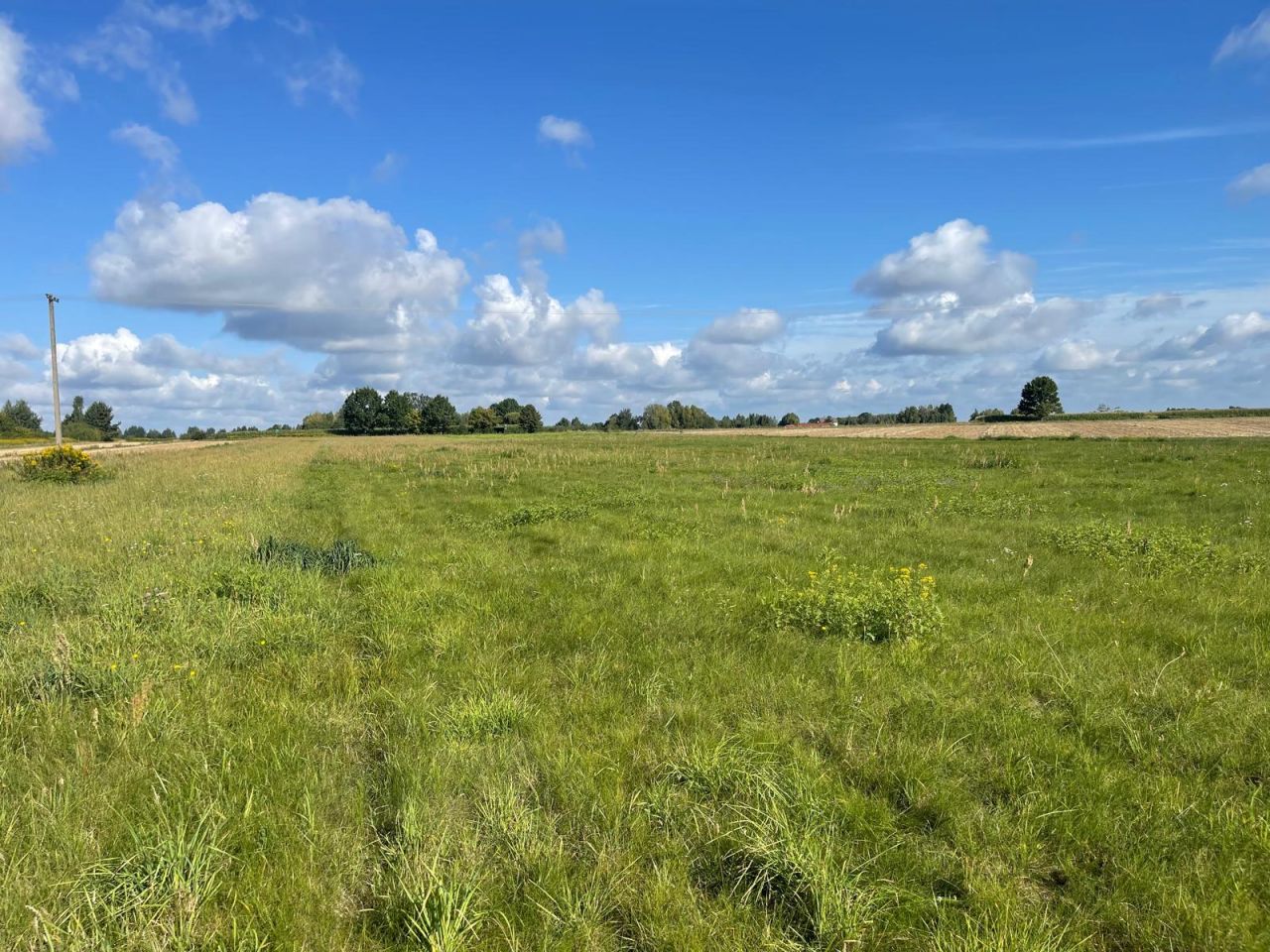 Działka budowlana Łąki. Zdjęcie 16