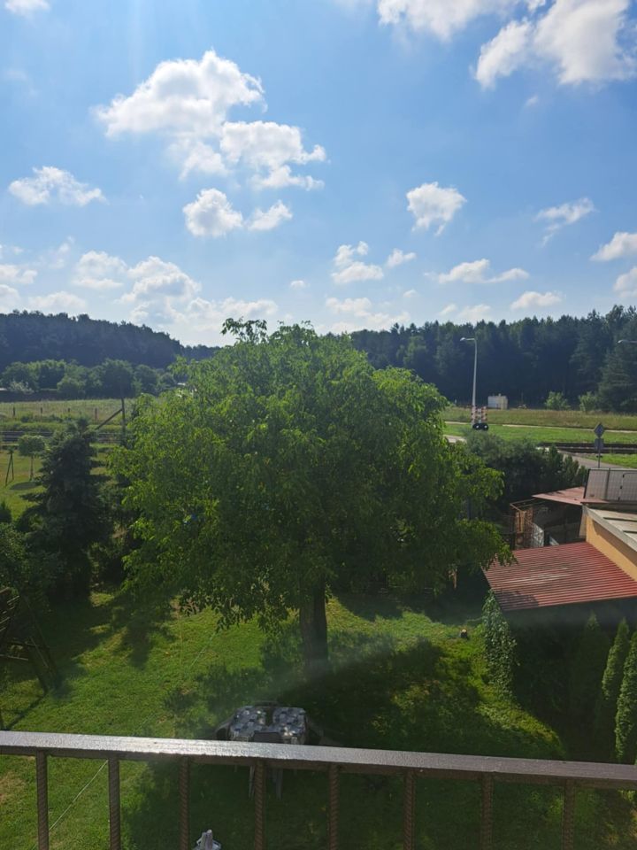 dom wolnostojący, 5 pokoi Leszno Zatorze, ul. Mikołaja Reja. Zdjęcie 3