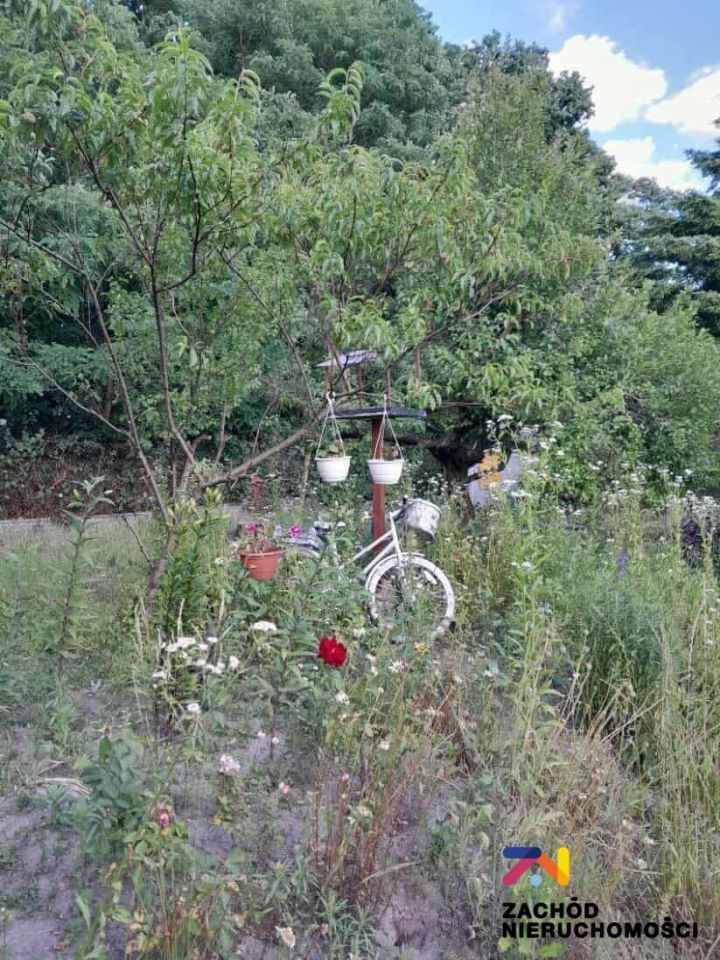 Działka rolna Zielona Góra, ul. Andrzeja Struga. Zdjęcie 10