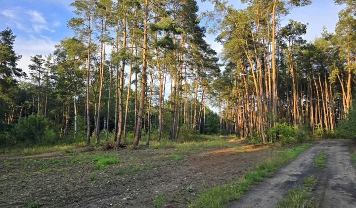 Działka budowlana Pilica