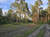 Działka budowlana Pilica