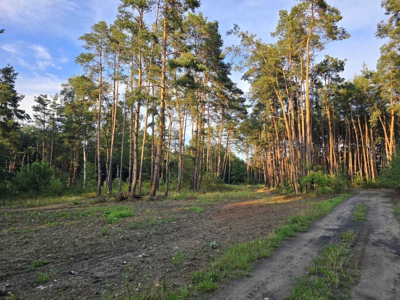 Działka budowlana Pilica