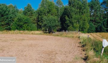 Działka rolna Martew