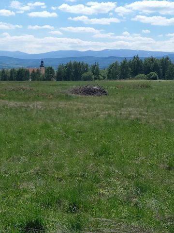 Działka rolno-budowlana Grudza. Zdjęcie 1