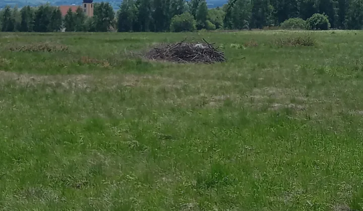 Działka rolno-budowlana Grudza