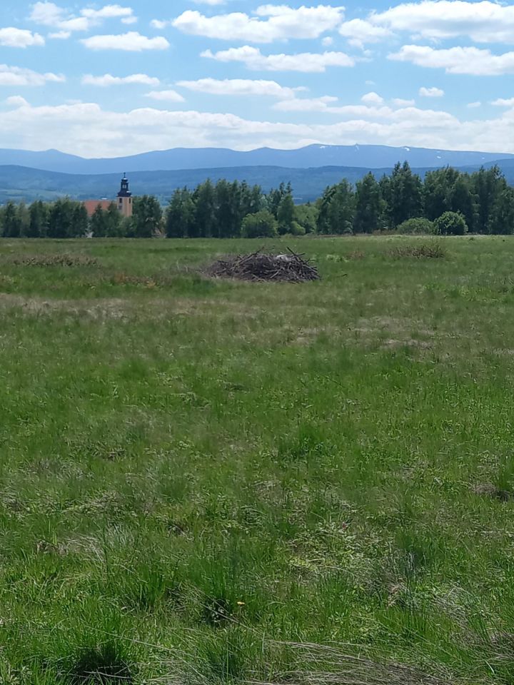 Działka rolno-budowlana Grudza. Zdjęcie 1