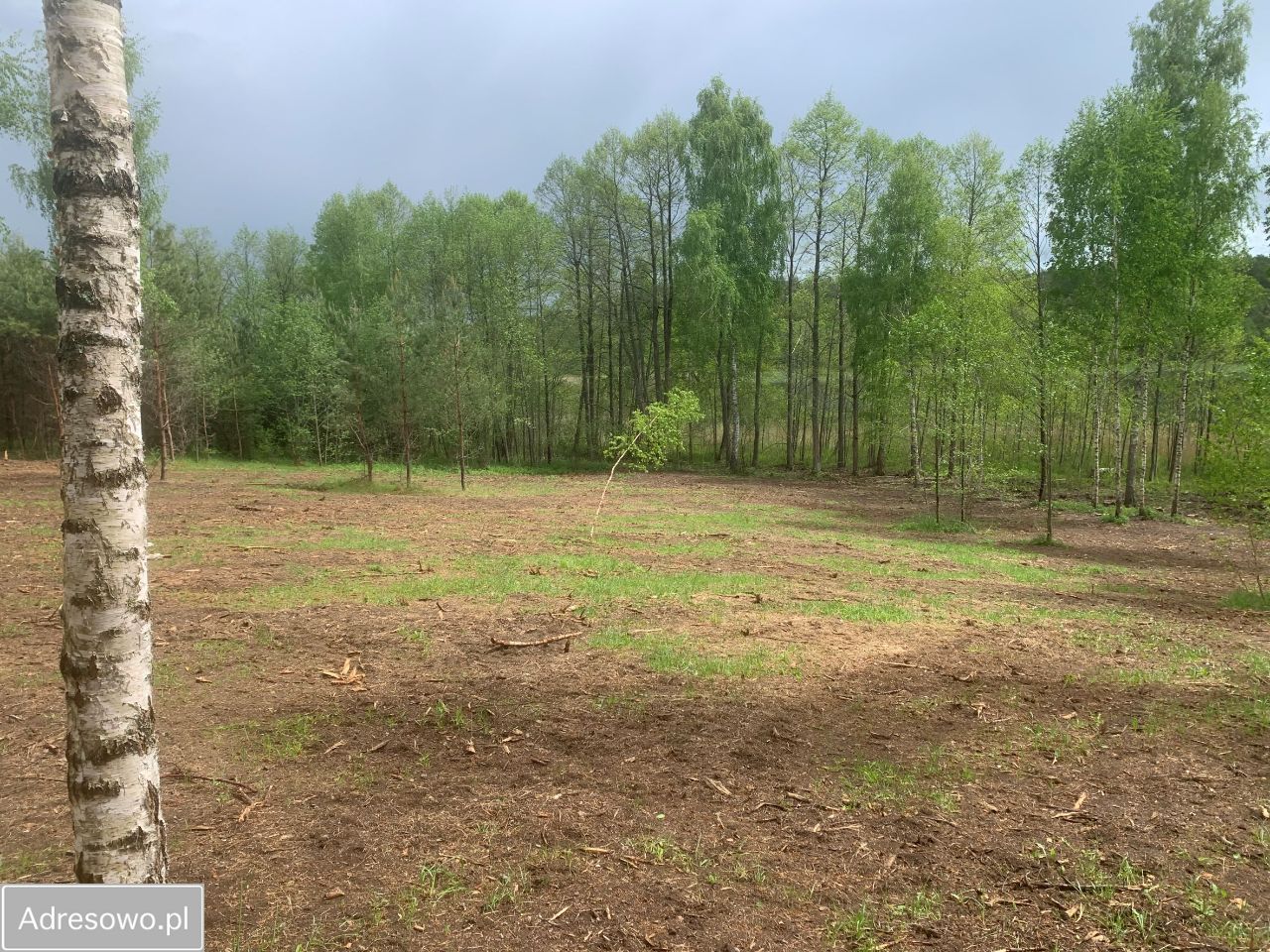 Działka Jęcznik. Zdjęcie 4