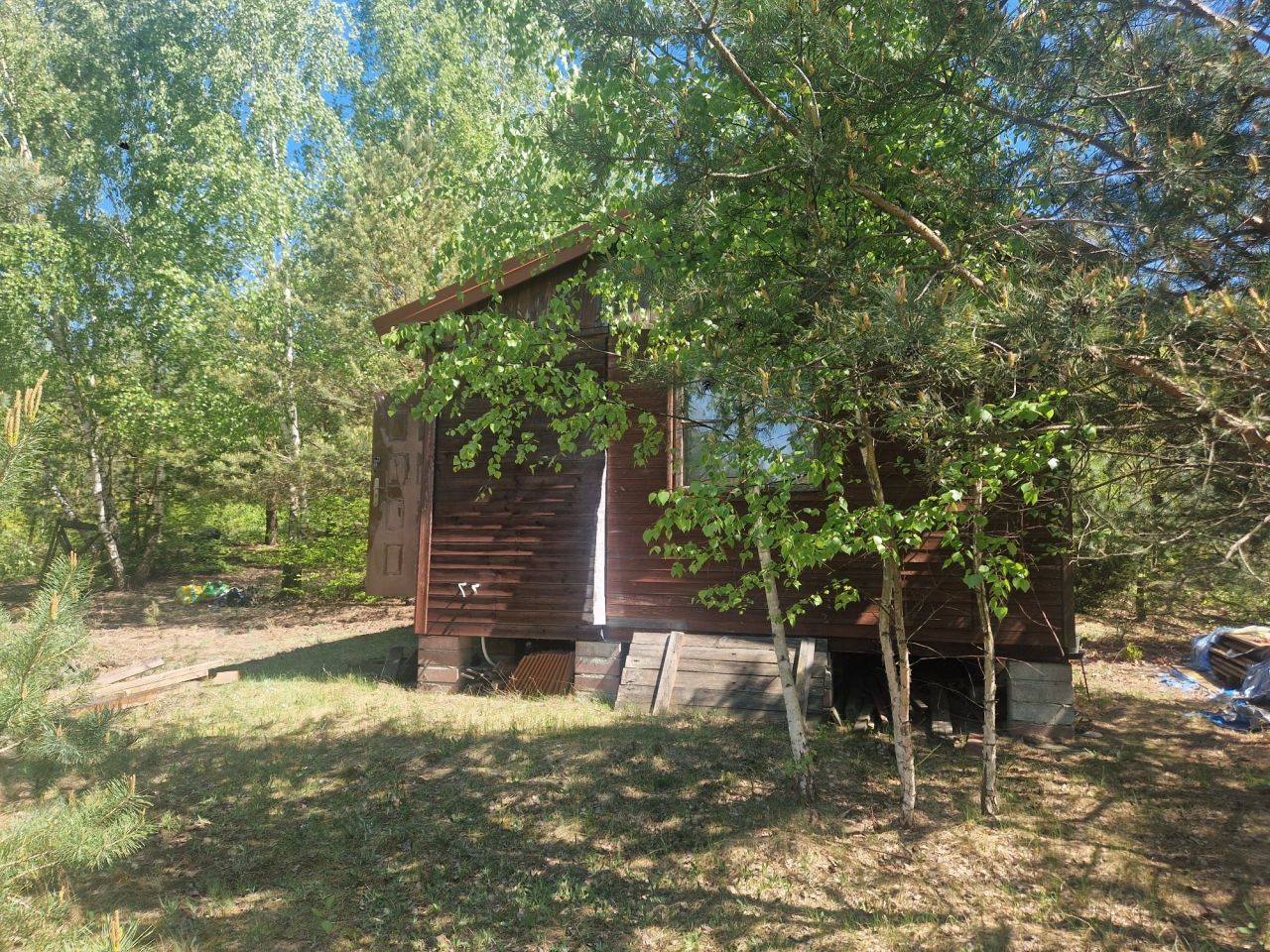 Działka leśna Klukówek. Zdjęcie 4