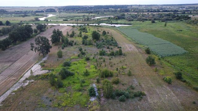 Działka rolna Czarnów. Zdjęcie 6