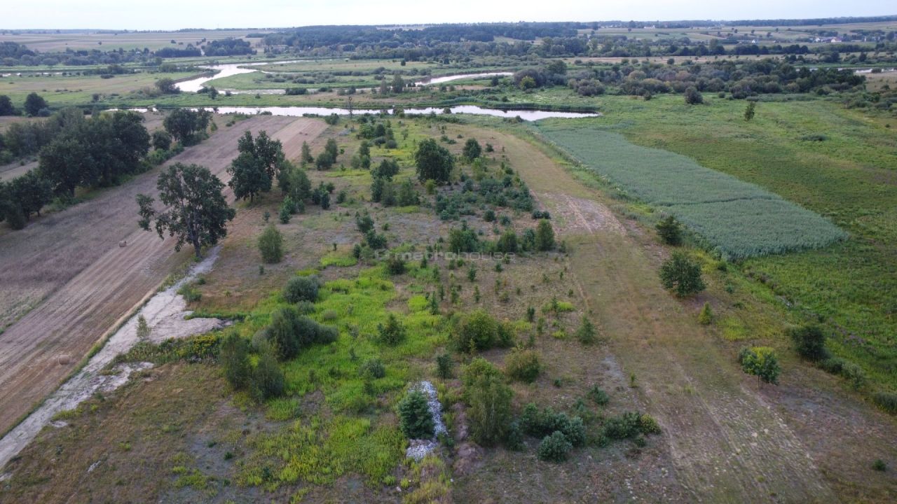 Działka rolna Czarnów. Zdjęcie 6