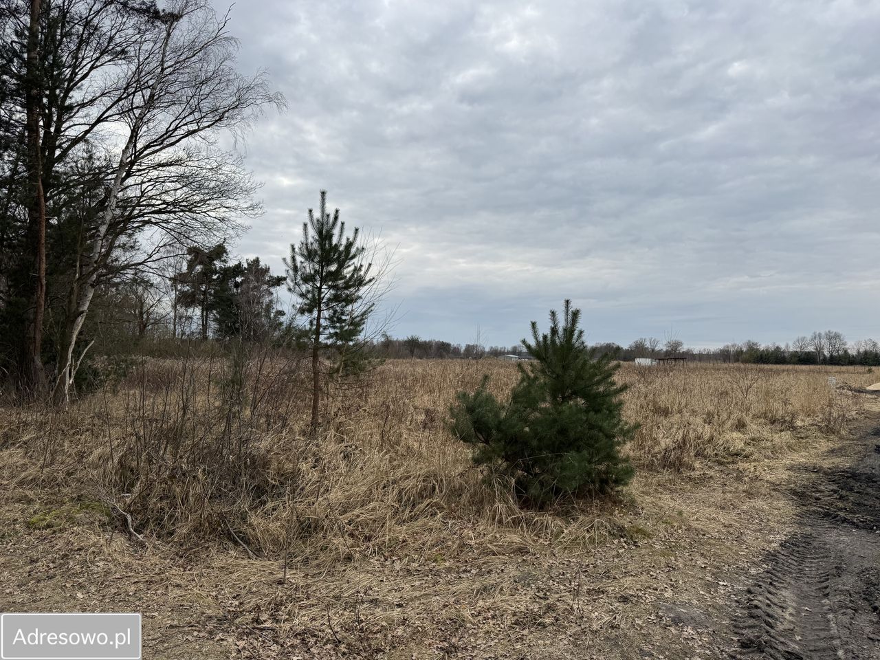 Działka budowlana Dębnik. Zdjęcie 11