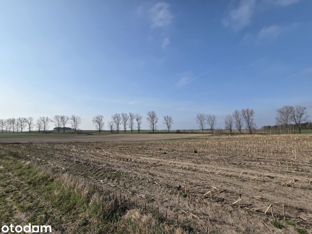 Działka budowlana Kramsk Kramsk-Łęgi. Zdjęcie 1