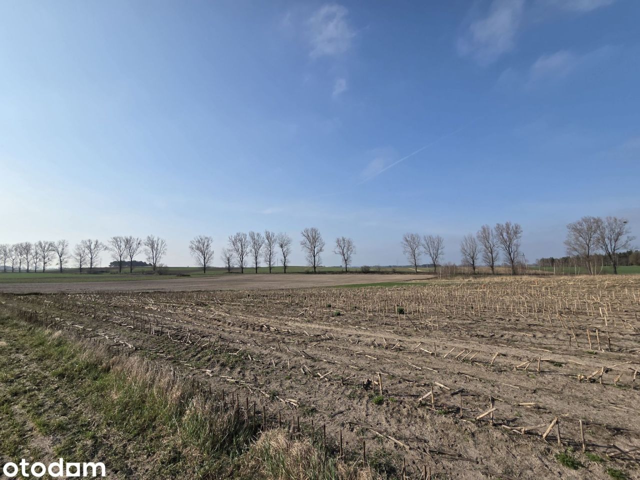 Działka budowlana Kramsk Kramsk-Łęgi. Zdjęcie 1
