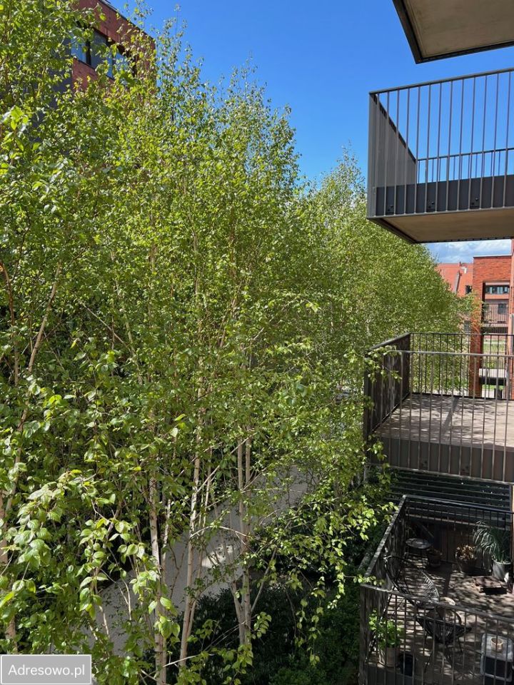 Mieszkanie 2-pokojowe Gdańsk Śródmieście, ul. Angielska Grobla. Zdjęcie 14