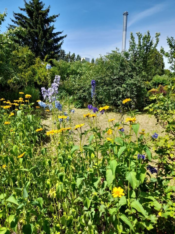 Działka rod Grudziądz, droga Łąkowa. Zdjęcie 3