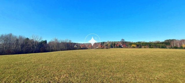 Działka rolna Marcinkowo. Zdjęcie 4