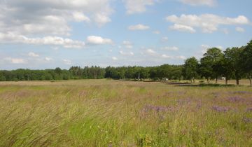 Działka budowlana Objazda, Jesionowa