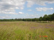 Działka budowlana Objazda. Zdjęcie 1