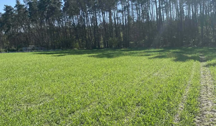 Działka budowlana Jagodziniec