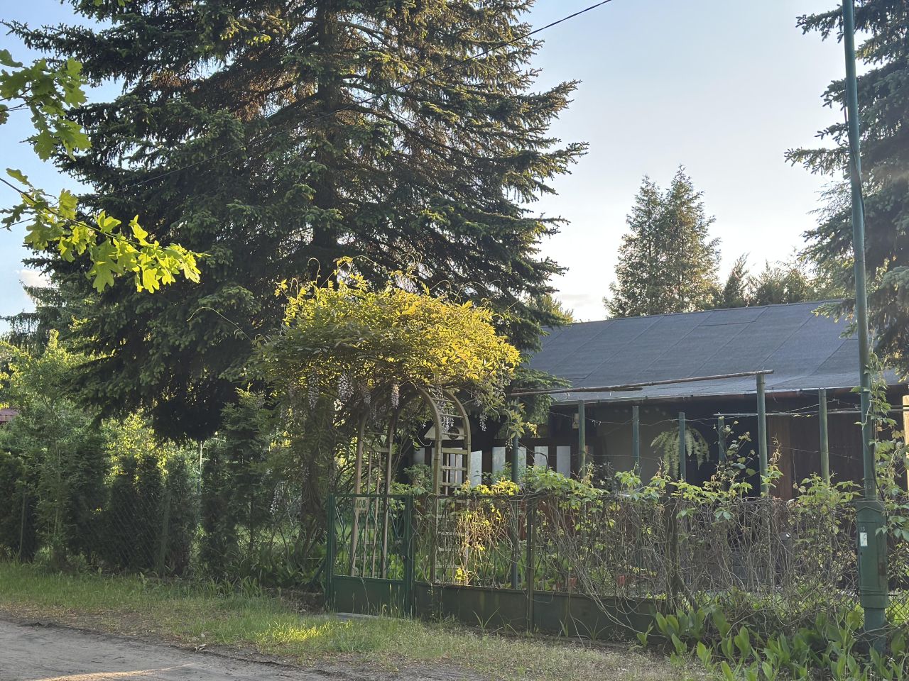 Działka rod Stefanowo, ul. Ułanów. Zdjęcie 22