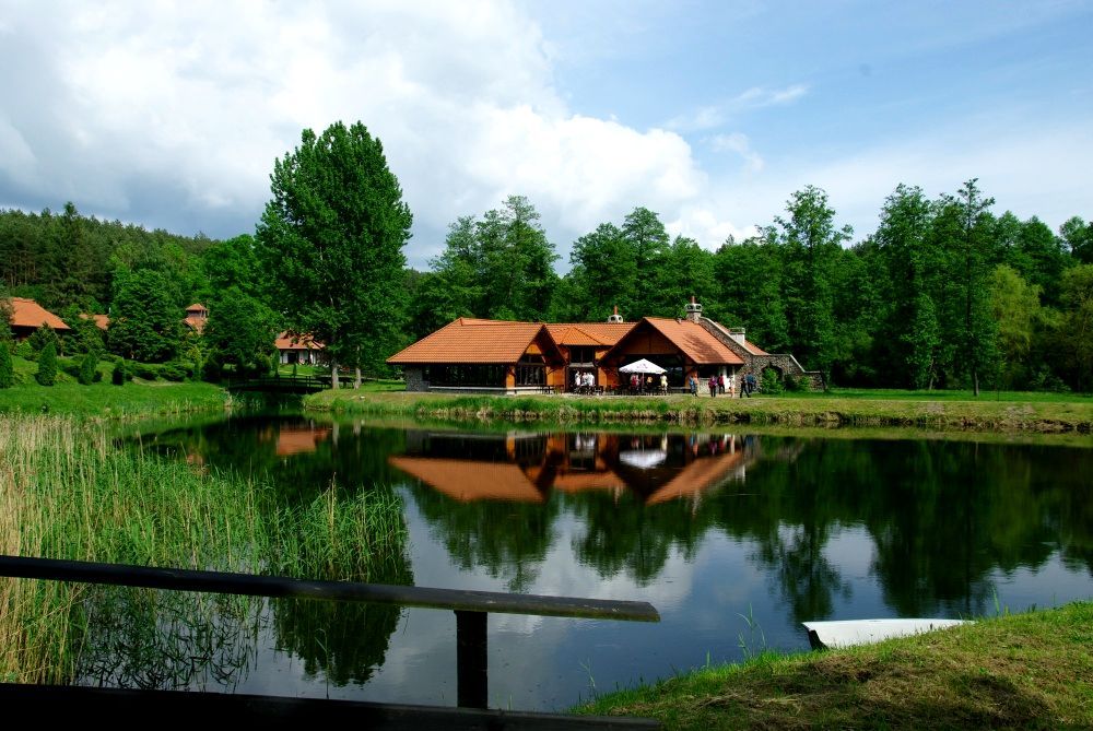 Lokal Kurojady. Zdjęcie 7