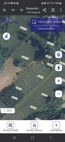 Działka rolna Sieniawa. Zdjęcie 1