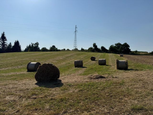 Działka rolna Żerdziny. Zdjęcie 5