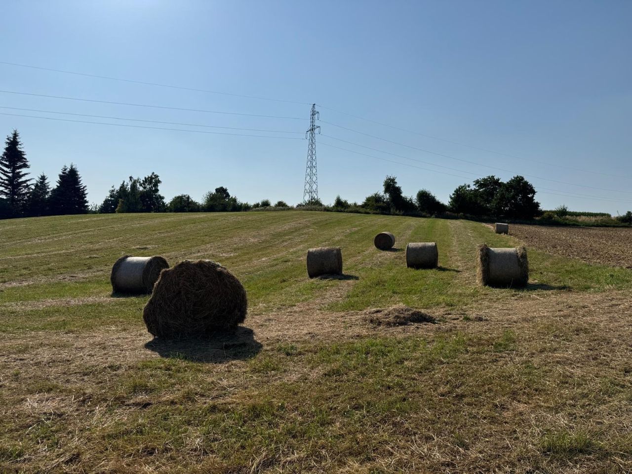 Działka rolna Żerdziny. Zdjęcie 5