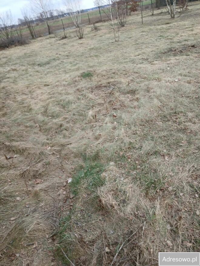 Działka budowlana Bielino. Zdjęcie 6