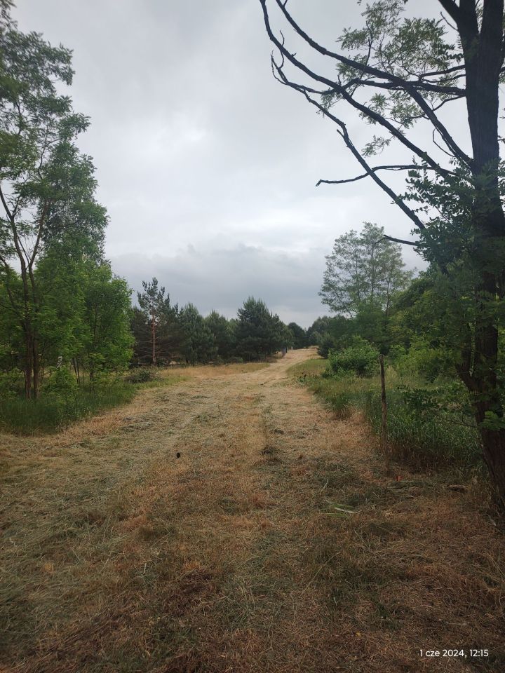 Działka rekreacyjna Stary Orzechów. Zdjęcie 3