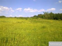 Działka budowlana Kochanówka. Zdjęcie 1