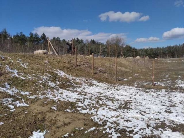 Działka rolno-budowlana Janopole. Zdjęcie 1