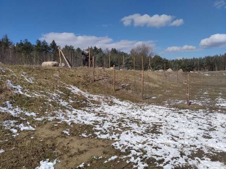 Działka rolno-budowlana Janopole