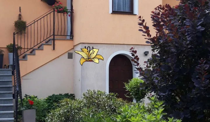 dom wolnostojący Księginice