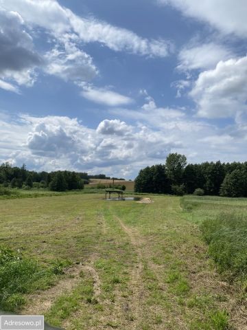 Działka budowlana Żałe. Zdjęcie 1