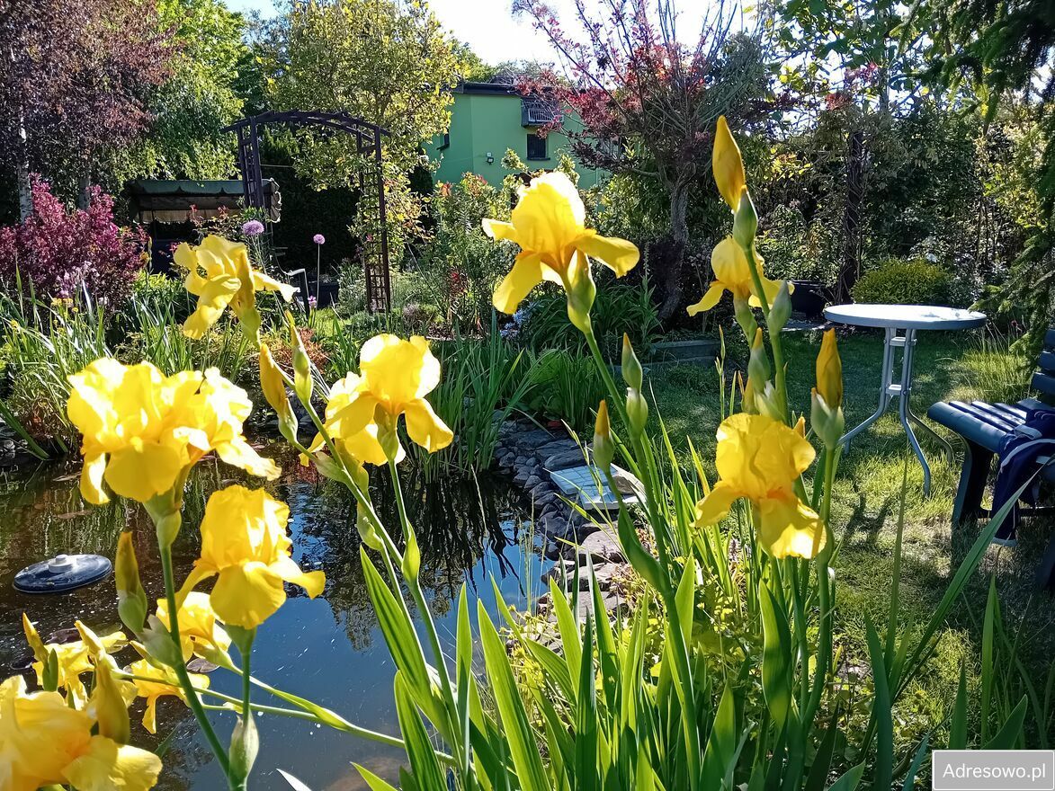 Działka rod Gostynin. Zdjęcie 3