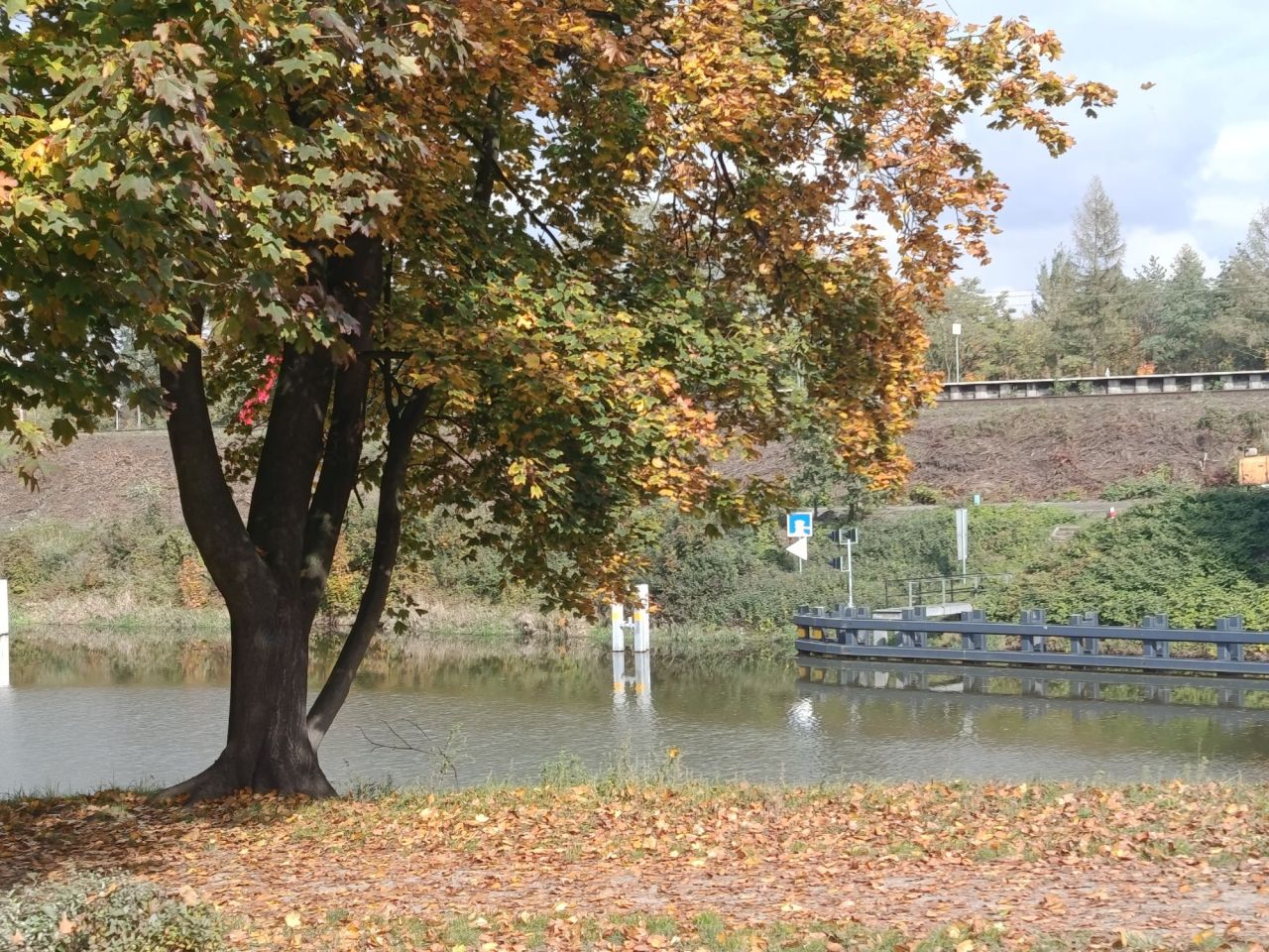 Mieszkanie 1-pokojowe Gliwice Łabędy, ul. Rzeczycka. Zdjęcie 4