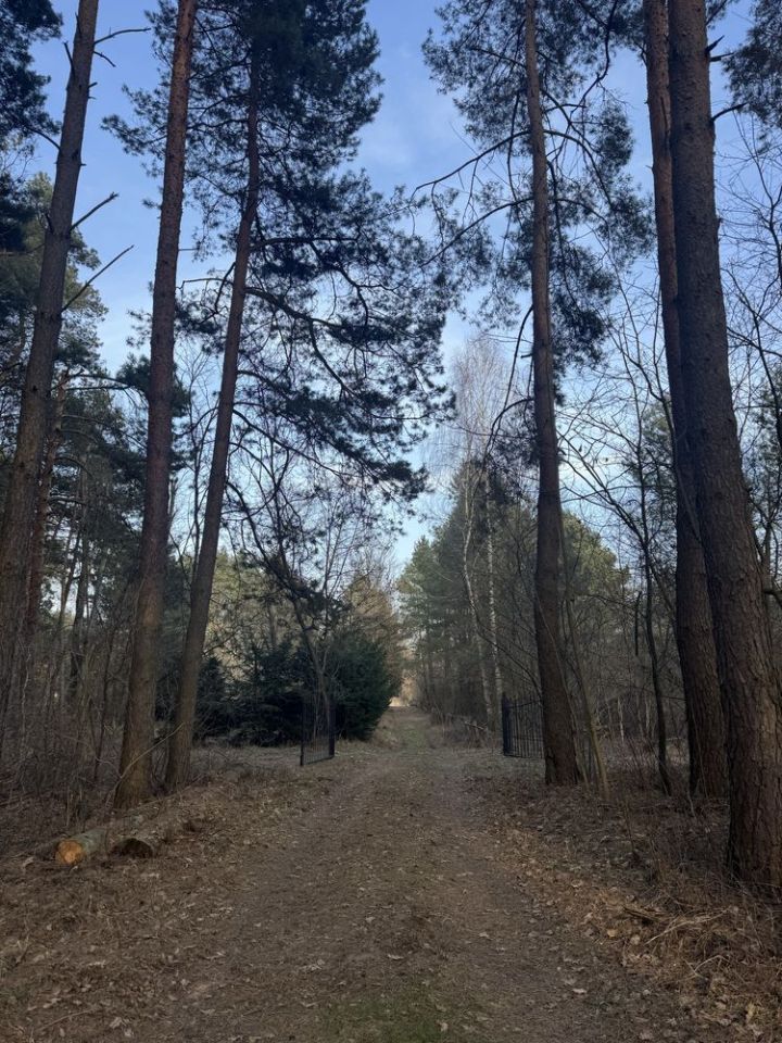 Działka leśna Nadkole. Zdjęcie 7